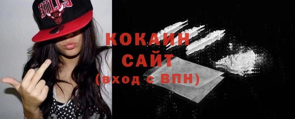 стафф Михайловск