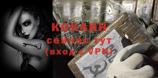 сатива Михайлов