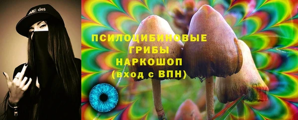 стафф Михайловск