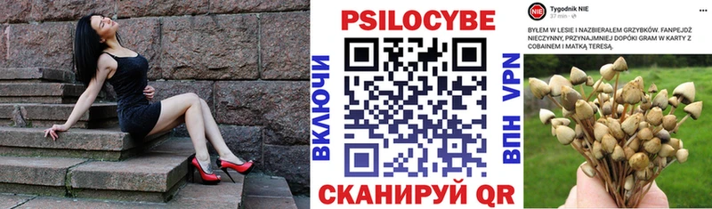 Галлюциногенные грибы мицелий  Купить где  Злынка 
