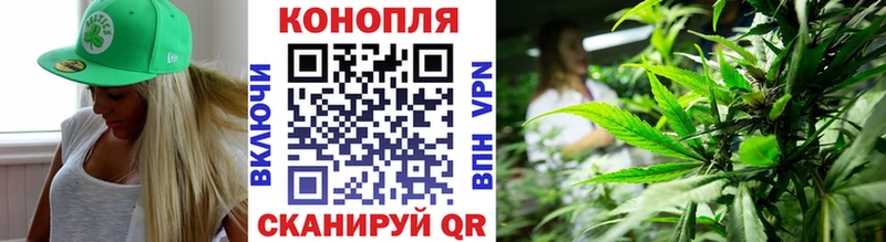 Бошки марихуана OG Kush Купить где Злынка
